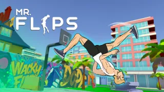 Mr Flip