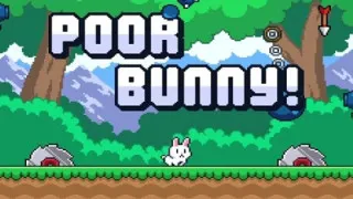 Poor Bunny